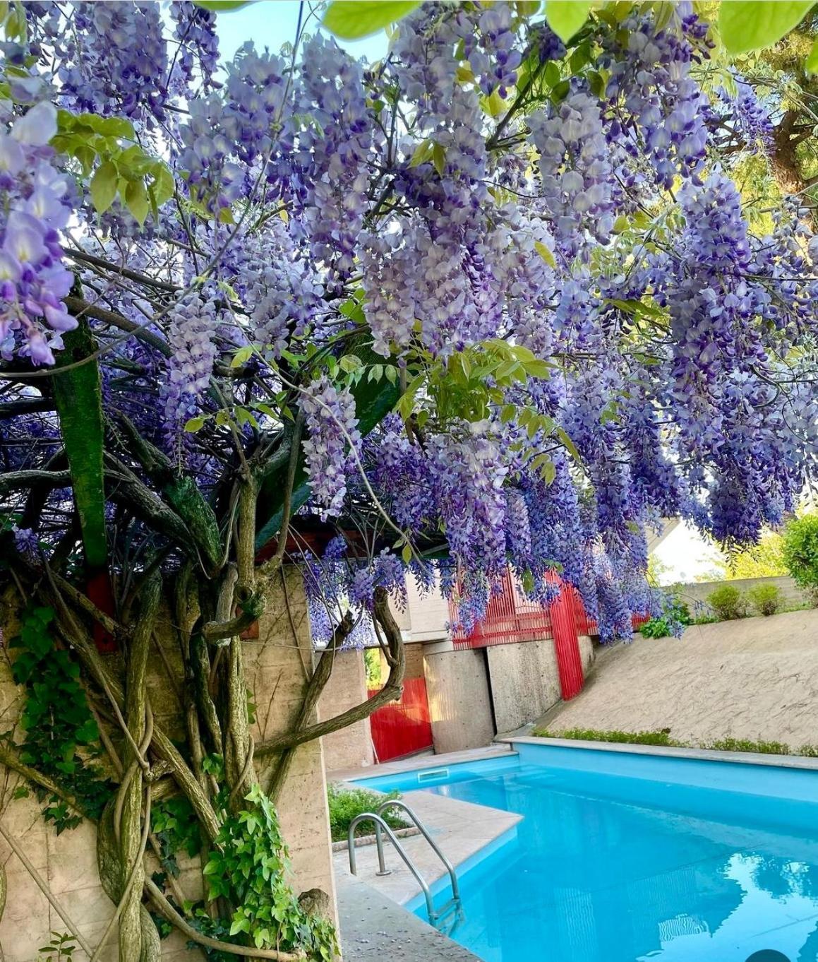 Apartment Caffetto Dependance Nei Pressi Del Di Garda